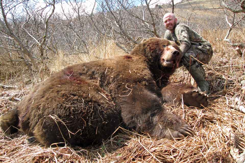 Kodiak Brown Bear Hunting Pictures